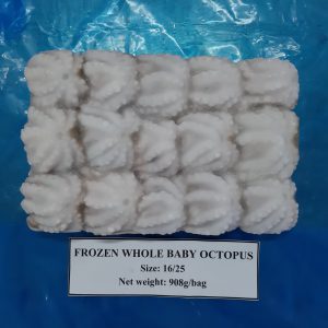 Bạch tuộc lạnh làm sạch nguyên con - Thủy Hải Sản Thế Khánh - Công Ty TNHH Thế Khánh